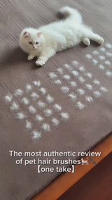 Pet Hair Remover Glove